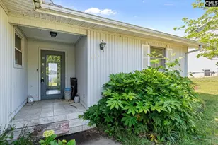 133 Williams Way, Chapin, SC 29036 - Photo 4
