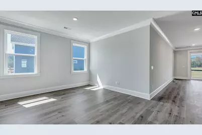 316 Kenworthy Court, Irmo, SC 29063 - Photo 12