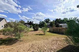 801 Kimsey Dr, Chapin, SC 29036 - Photo 24