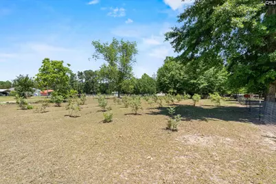 1633 Shilling Bridge Road, Orangeburg, SC 29115 - Photo 26