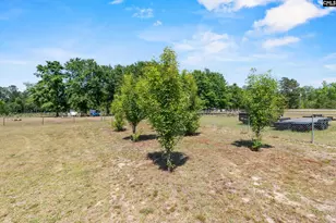 1633 Shilling Bridge Rd, Orangeburg, SC 29115 - Photo 38