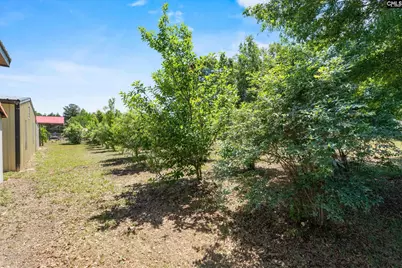 1633 Shilling Bridge Road, Orangeburg, SC 29115 - Photo 28