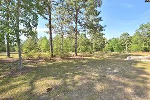 518 Pat Rd, Lexington, SC 29073 - Photo 8