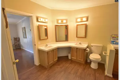 518 Pat Road, Lexington, SC 29073 - Photo 18