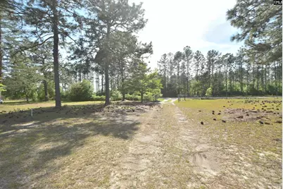 518 Pat Road, Lexington, SC 29073 - Photo 6