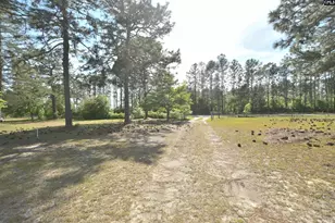 518 Pat Rd, Lexington, SC 29073 - Photo 6
