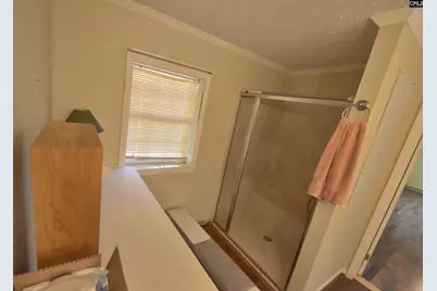 518 Pat Road, Lexington, SC 29073 - Photo 20