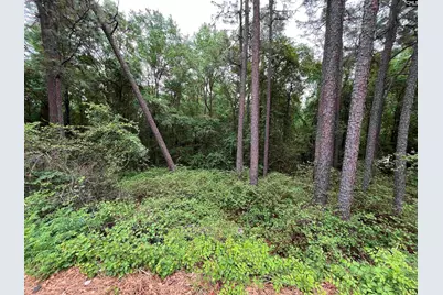 7008 Monticello Road, Columbia, SC 29203 - Photo 6