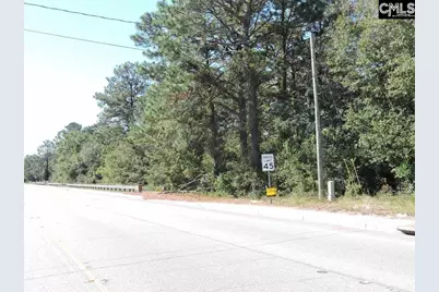1250 South Lake Dr., Lexington, SC 29073 - Photo 2