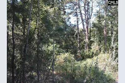 1250 South Lake Dr., Lexington, SC 29073 - Photo 8