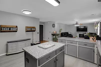 119 Silverberry Drive, Lexington, SC 29073 - Photo 8