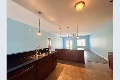290 Baneberry Loop, Lexington, SC 29073 - Photo 8