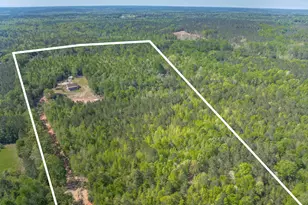 10994 US Hwy 176, Pomaria, SC 29126 - Photo 82
