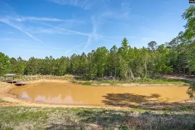 10994 US Hwy 176, Pomaria, SC 29126 - Photo 62