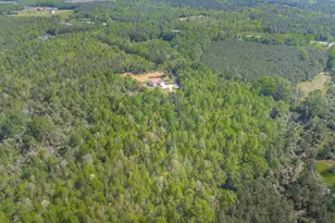 10994 US Hwy 176, Pomaria, SC 29126 - Photo 74