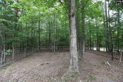 118 Frandeenas Court, Prosperity, SC 29127 - Photo 62