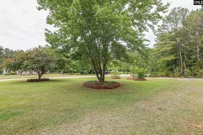118 Frandeenas Court, Prosperity, SC 29127 - Photo 54