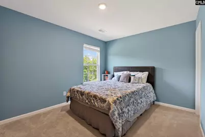 1619 Birch Grain Road, Chapin, SC 29036 - Photo 54