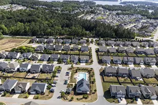 1619 Birch Grain Rd, Chapin, SC 29036 - Photo 66