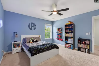 1619 Birch Grain Road, Chapin, SC 29036 - Photo 52
