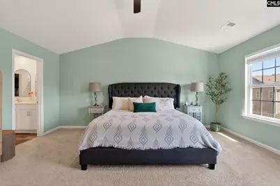 1619 Birch Grain Road, Chapin, SC 29036 - Photo 44