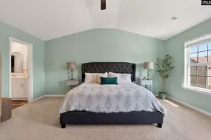 1619 Birch Grain Rd, Chapin, SC 29036 - Photo 44