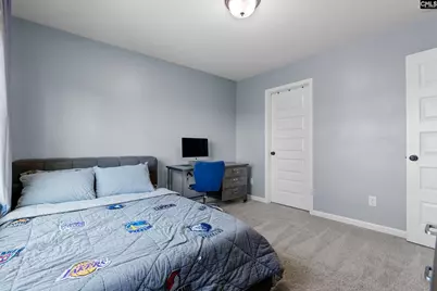 262 Charter Oaks Drive, Blythewood, SC 29016 - Photo 28