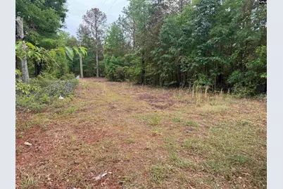500 Bowman Avenue, Elgin, SC 29045 - Photo 2