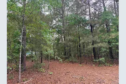 500 Bowman Avenue, Elgin, SC 29045 - Photo 8