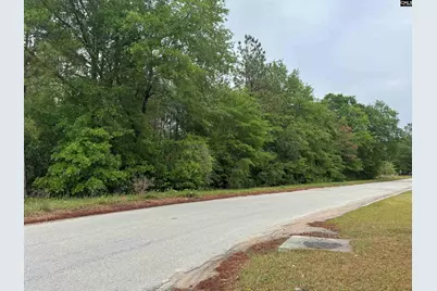 500 Bowman Avenue, Elgin, SC 29045 - Photo 6