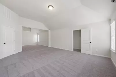 233 Blue Indigo Circle, Irmo, SC 29212 - Photo 22