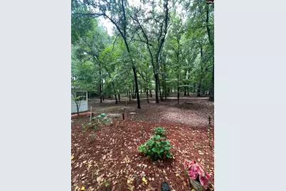 930 Peach Festival Road, Gilbert, SC 29054 - Photo 34