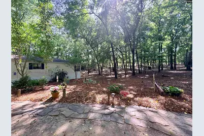 930 Peach Festival Road, Gilbert, SC 29054 - Photo 32