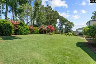 115 Pointe Overlook Dr, Chapin, SC 29036 - Photo 38