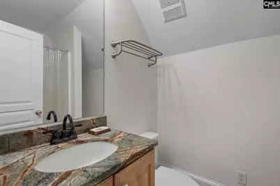 115 Pointe Overlook Drive, Chapin, SC 29036 - Photo 32