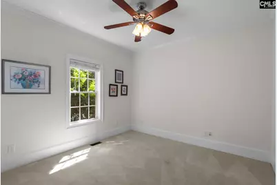 115 Pointe Overlook Drive, Chapin, SC 29036 - Photo 28