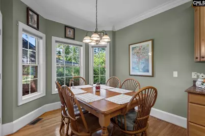 115 Pointe Overlook Drive, Chapin, SC 29036 - Photo 18