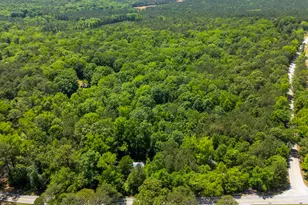 1389 Fulmer Rd, Blythewood, SC 29016 - Photo 4