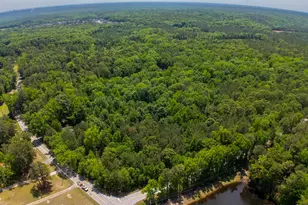 1389 Fulmer Rd, Blythewood, SC 29016 - Photo 8