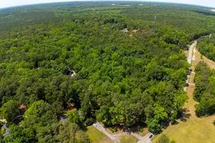 1389 Fulmer Rd, Blythewood, SC 29016 - Photo 14