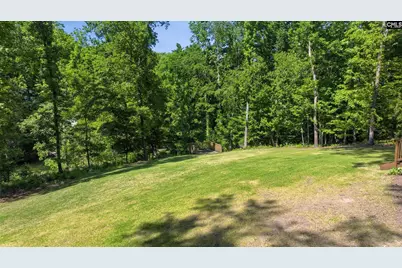 1 Broad Bluff Court, Irmo, SC 29063 - Photo 40