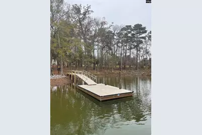 925 Salisbury Court, Chapin, SC 29036 - Photo 6