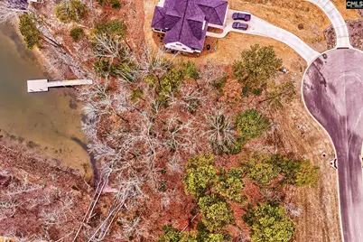 925 Salisbury Court, Chapin, SC 29036 - Photo 4