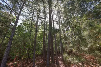 104 Harbor Drive, Columbia, SC 29223 - Photo 6