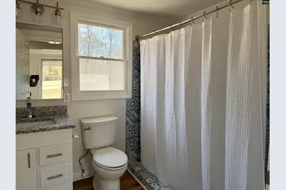 301-A Amicks Ferry Road, Chapin, SC 29036 - Photo 6