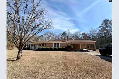 301-A Amicks Ferry Road, Chapin, SC 29036 - Photo 1