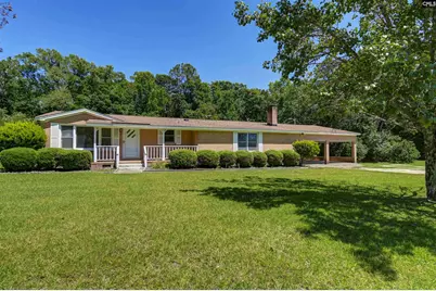 301 Amicks Ferry Road, Chapin, SC 29036 - Photo 1