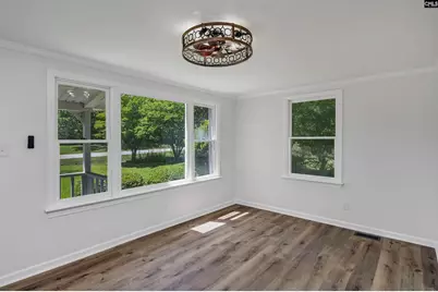301 Amicks Ferry Road, Chapin, SC 29036 - Photo 20