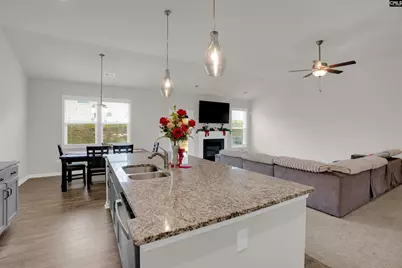 446 Swift Current Loop, Blythewood, SC 29016 - Photo 20