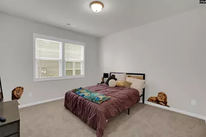 446 Swift Current Loop, Blythewood, SC 29016 - Photo 10